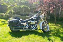 richareds-harley