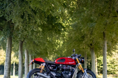 Dave's Thruxton R
